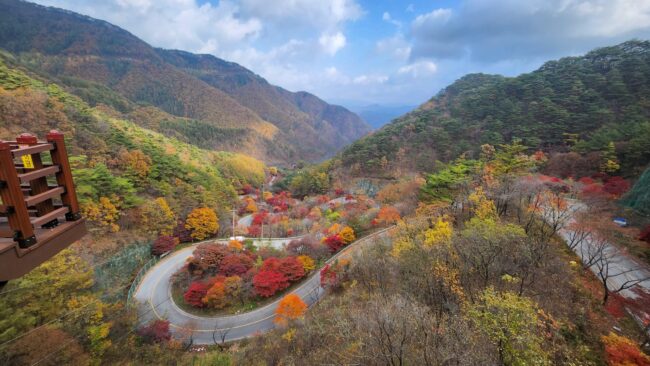 11월단풍워크숍
