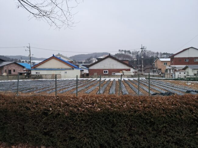 임장1차_썸네일