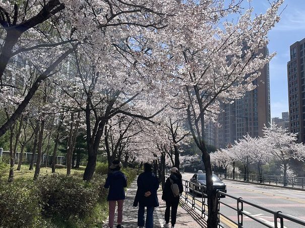 KakaoTalk_20260413_105544926_05