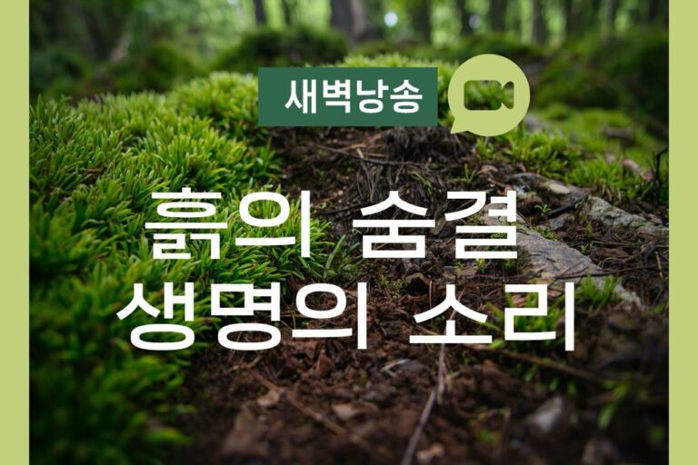 새벽낭송 모집공고 – 6