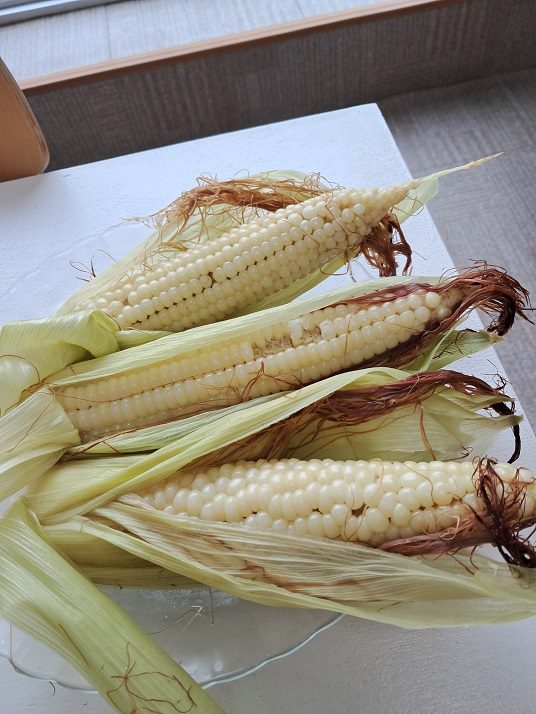 KakaoTalk_20260722_110220371_01