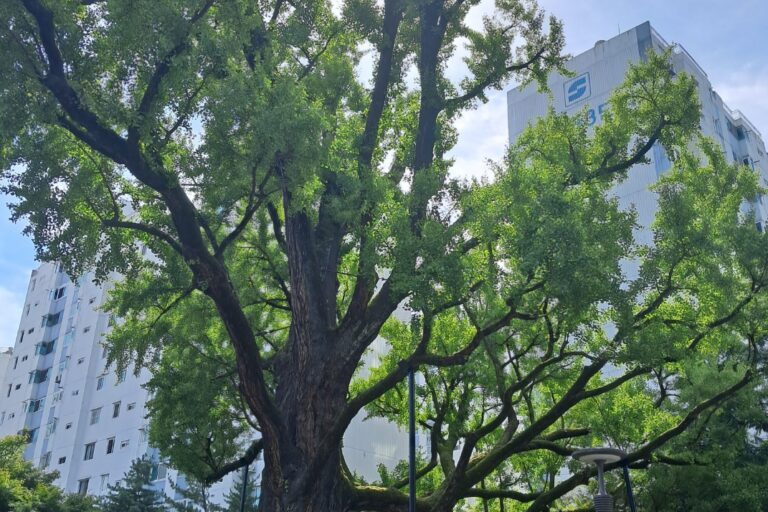 KakaoTalk_20261007_120107727_02